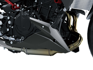 999941876660 | Lower Cowling (Z500) | Kawasaki